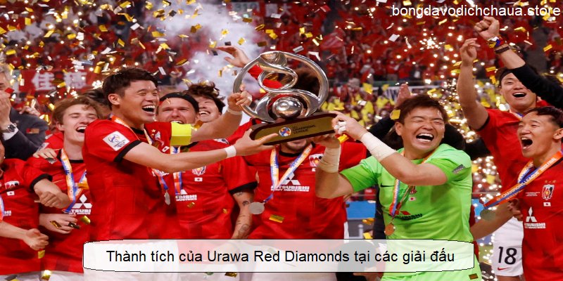 Thành tích của Urawa Red Diamonds tại các giải đấu